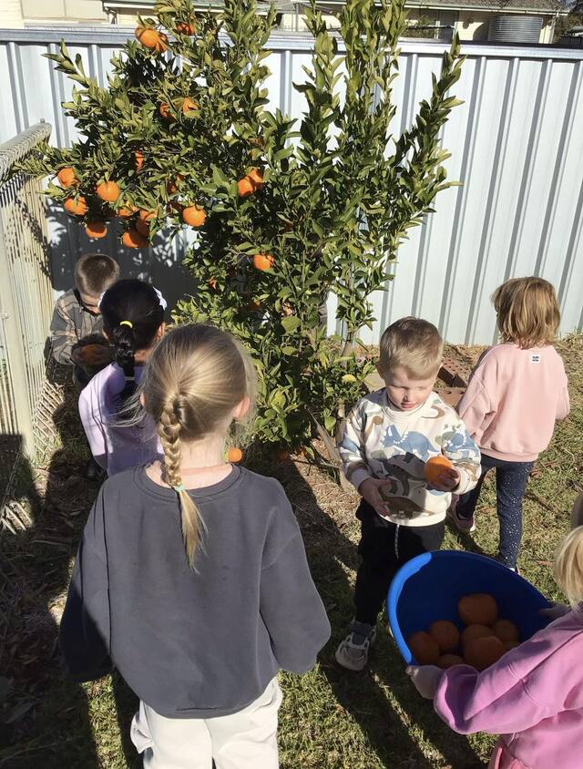 Early learning future secured