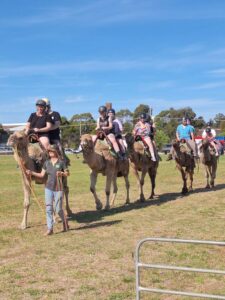 Carnival lights up town