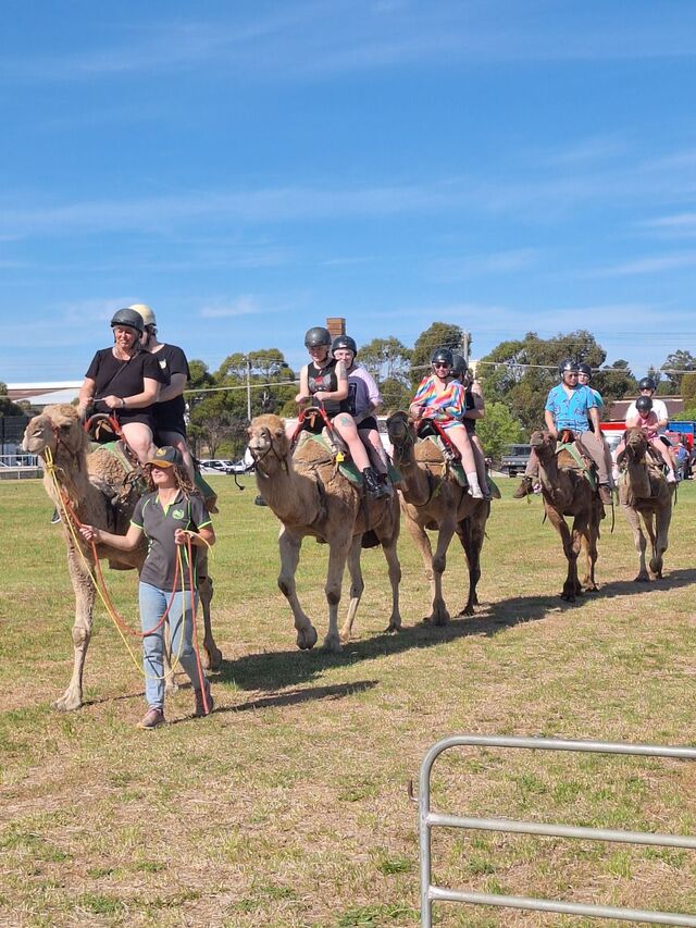 Carnival lights up town