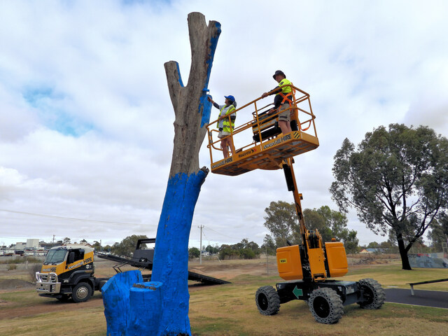 A tree that carries hope