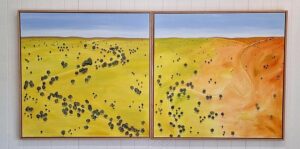 Big skies and farmscapes