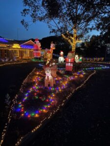 Festive lights spread cheer