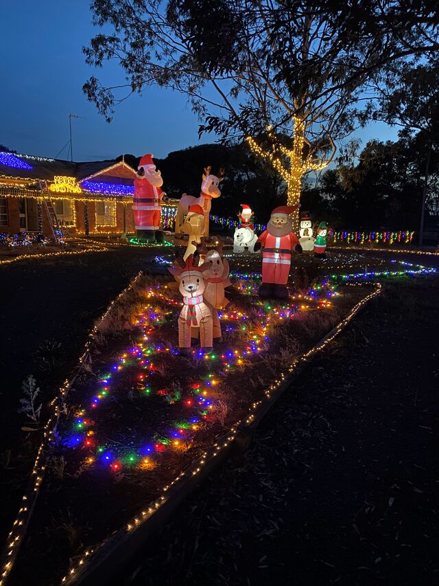 Festive lights spread cheer