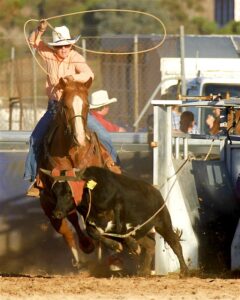 Where outback meets rodeo