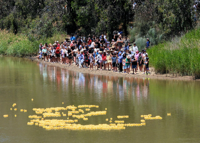 Quacking success at the SES duck race
