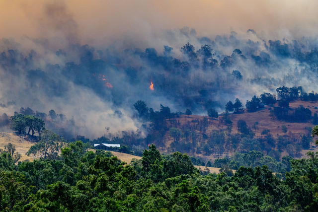 VFF responds to help bushfire impacted farmers