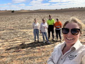 Mallee groundcover levels hit new low