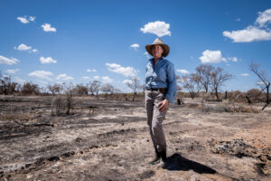 Raakajilm to rise from the ruins