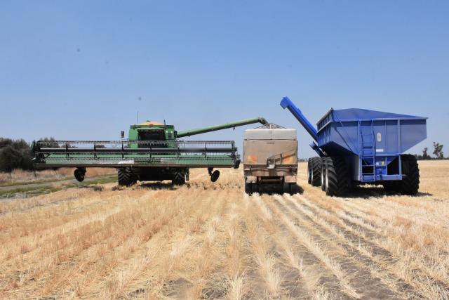 Warm weather set to continue