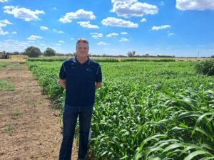 Independent actionable research