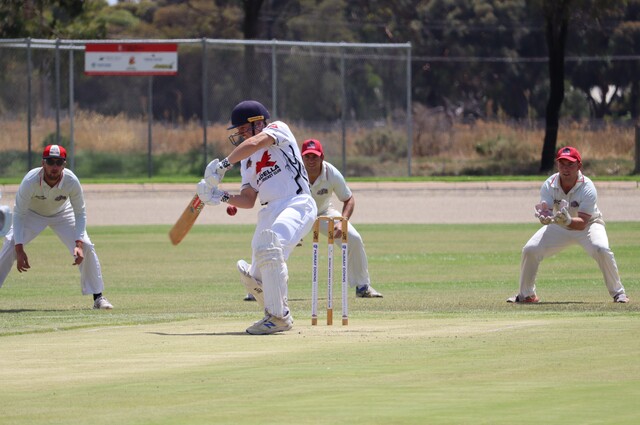 SHDCA Round 13 Cricket Match Reports