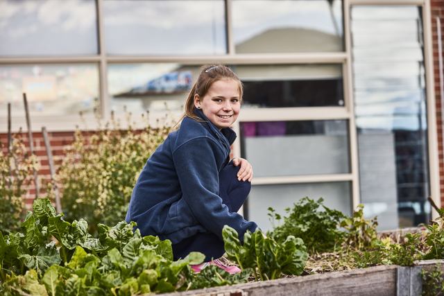 Green thumbs for sustainability program