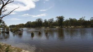 Questions over AI in basin review