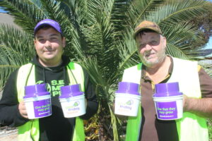 Tradition turns to online format