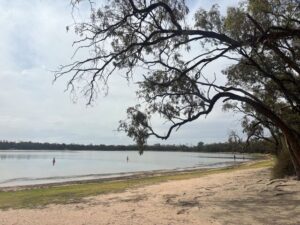 Buloke Lakes – Where the Mallee meets the water
