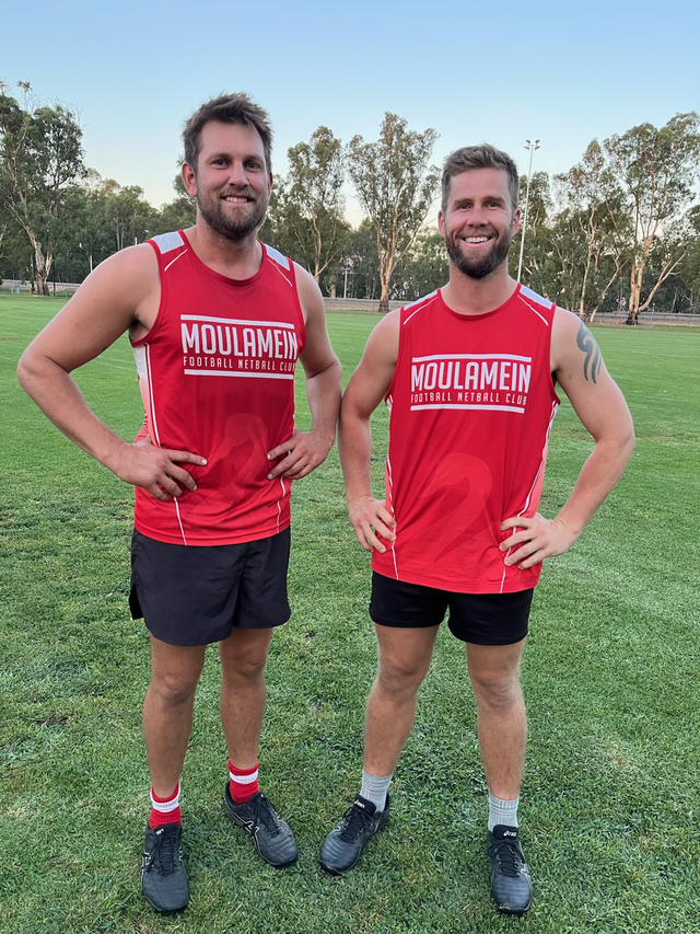 Swans adding to nest