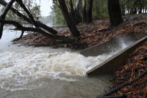 Mallee downpour