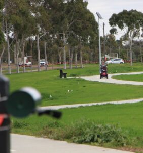 Residents urged to pick up after their dogs