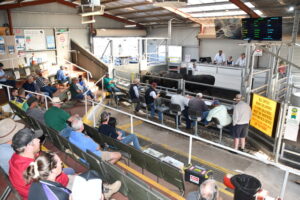 Record year for agriculture