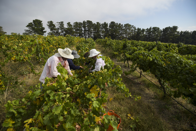 Migration policy sparks concern