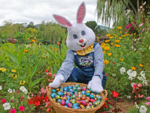 Easter buzz in Balranald