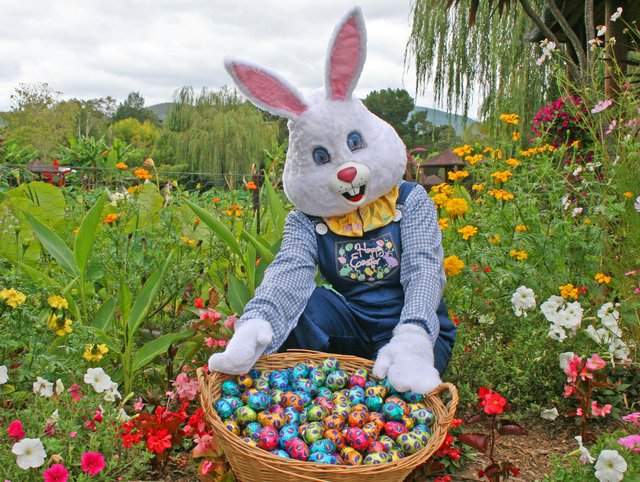 Easter buzz in Balranald