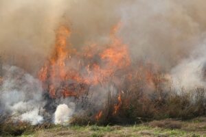 CFA urges burn-off delay ahead of warm, windy conditions