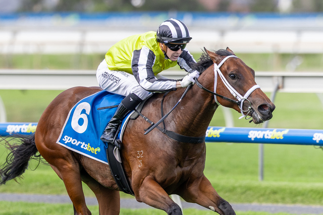 Coffey’s border raid