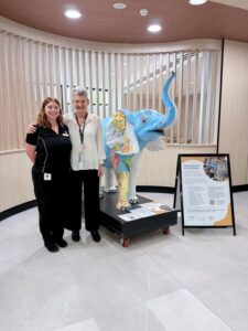 Shining a light on family violence