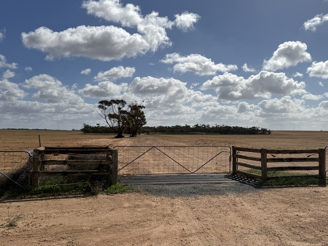 ‘Merino Mafia’ link ruled out