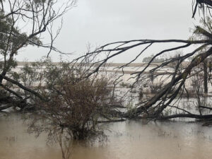 Wettest March since 1980s