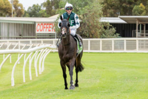 Coffey’s home success