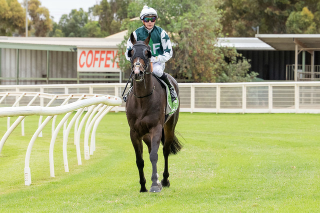 Coffey’s home success