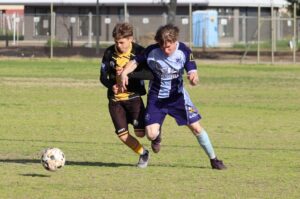 Swans fly home for weekend