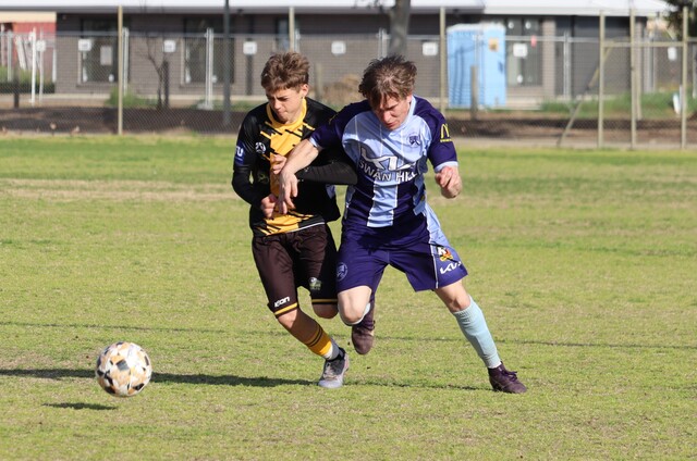 Swans fly home for weekend