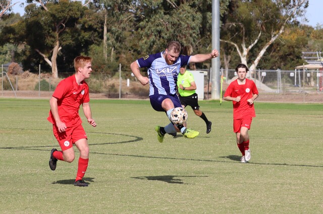 Swans continue strong start