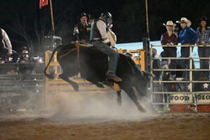 Homebush Rodeo rides back into town