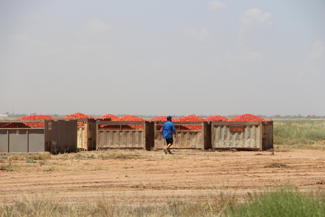 Asian trade mission to visit