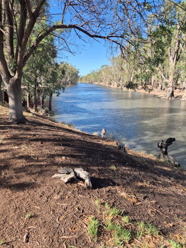 News from Moulamein