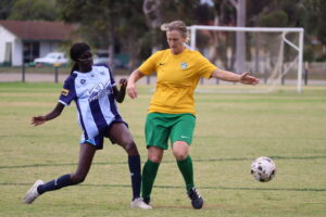 Swans mixed results