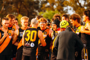 Tigers bounce back