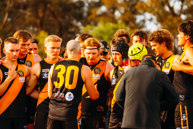 Tigers bounce back
