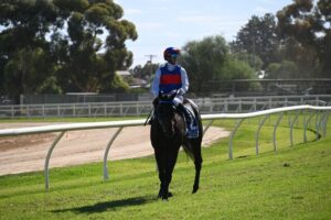 Hometown hero hopes for Precious Charm